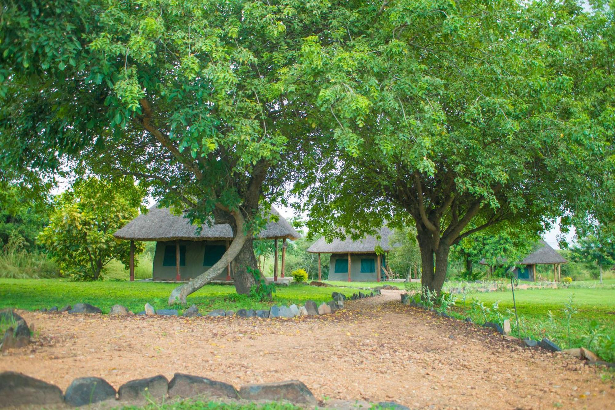 Murchison By Nature Ltd * Pakwach